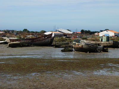 le de Noirmoutier: maree basse