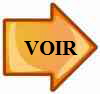 VOIR