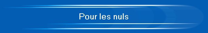 Pour les nuls