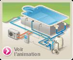 Animation piscine-center