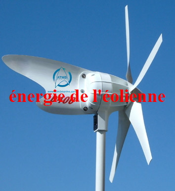 OLIENNES VERTICALES ATMB Marine