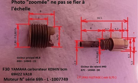 GICLEURS : j'ai voulu changer 1 gicleur de ralenti et 1 gicleur principal (les têtes de vis déteriorées sur un mauvais démontage précédent à mon achat ZODIAC PRO MAN et son moteur YAMAHA F30) !