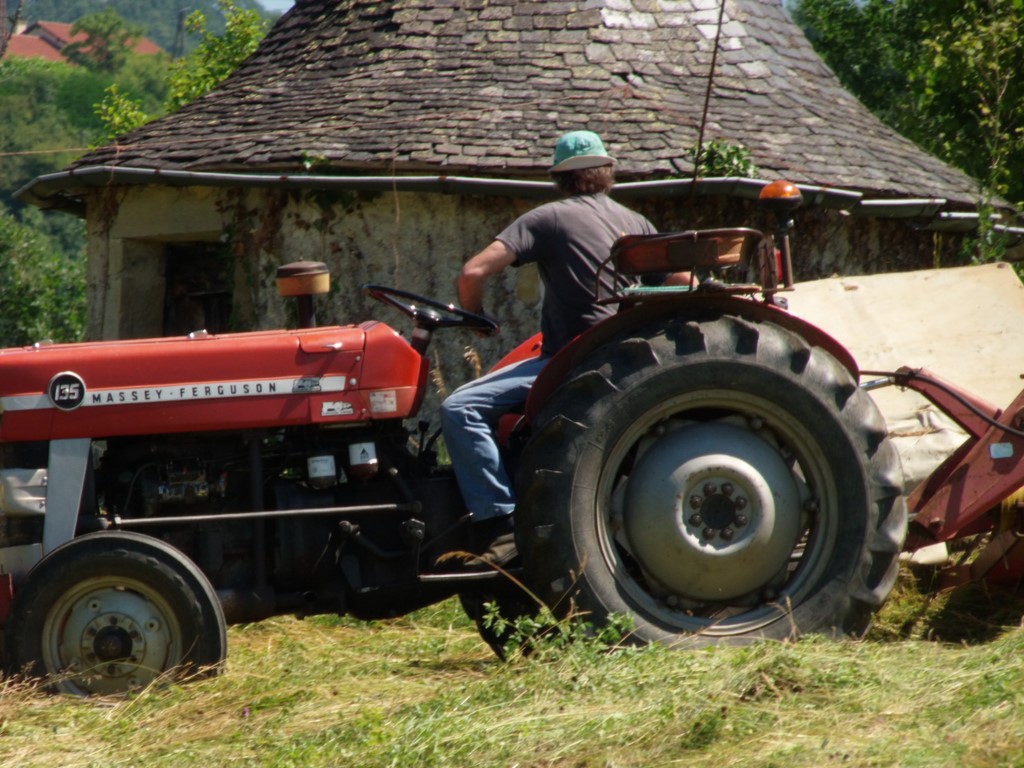 la fenaison