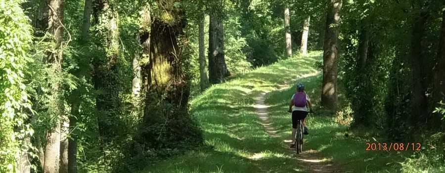 La-rigole du Canal du Midi