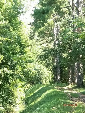 CANAL DU MIDI Randonnées Et Balades À Vélo Et Camping-Car : La Rigole