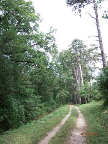 CANAL DU MIDI Randonnées Et Balades À Vélo Et Camping-Car : La Rigole