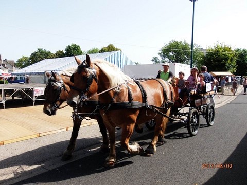 PLEAU 15  jour de foire