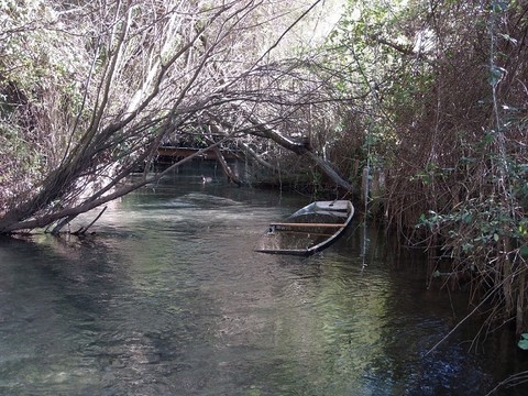 Camping la sorguette dans le VAUCLUSE 